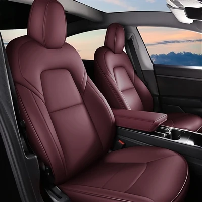 รถคันแรกของคนหนุ่มสาวอาจเป็น Tesla