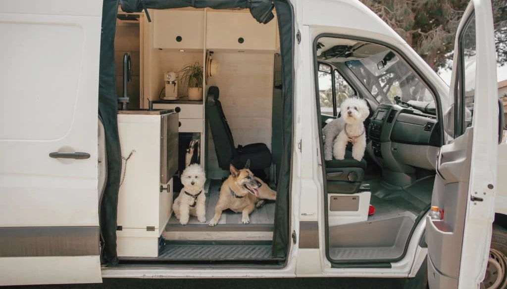 Sprinter van life